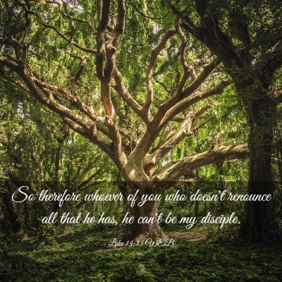 Picture 03 - Luke 14:33 WEB - So therefore whoever of you who doesn't renounce - Bible Verse Picture