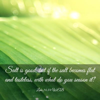 Picture 03 - Luke 14:34 WEB - Salt is good, but if the salt becomes flat and - Bible Verse Picture