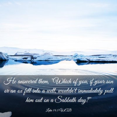 Picture 03 - Luke 14:5 WEB - He answered them, 