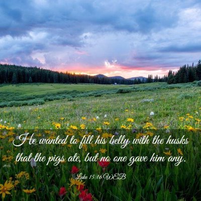 Picture 03 - Luke 15:16 WEB - He wanted to fill his belly with the husks that - Bible Verse Picture