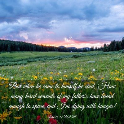 Picture 03 - Luke 15:17 WEB - But when he came to himself he said, 'How many - Bible Verse Picture