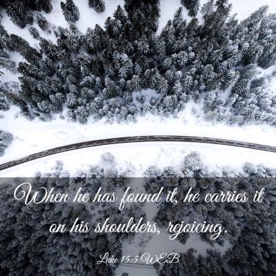 Picture 03 - Luke 15:5 WEB - When he has found it, he carries it on his - Bible Verse Picture