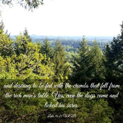 Picture 03 - Luke 16:21 WEB - and desiring to be fed with the crumbs that fell - Bible Verse Picture
