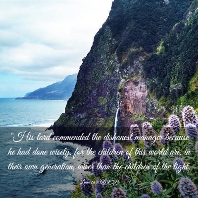Picture 03 - Luke 16:8 WEB - 