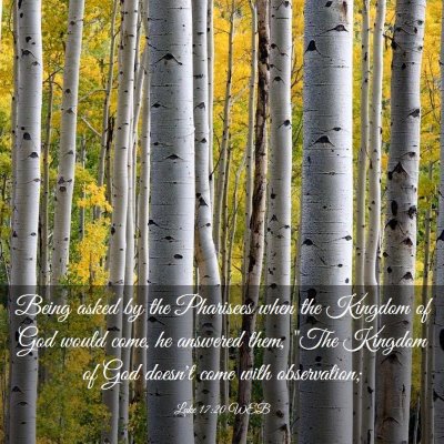 Picture 03 - Luke 17:20 WEB - Being asked by the Pharisees when the Kingdom of - Bible Verse Picture