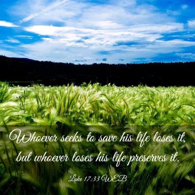 Picture 03 - Luke 17:33 WEB - Whoever seeks to save his life loses it, but - Bible Verse Picture