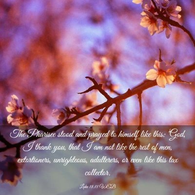 Picture 03 - Luke 18:11 WEB - The Pharisee stood and prayed to himself like - Bible Verse Picture
