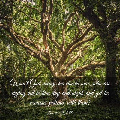 Picture 03 - Luke 18:7 WEB - Won't God avenge his chosen ones, who are crying - Bible Verse Picture