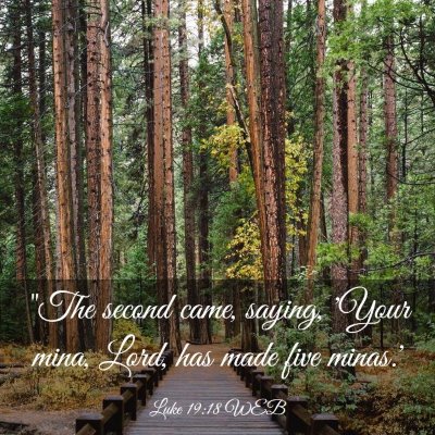 Picture 03 - Luke 19:18 WEB - 