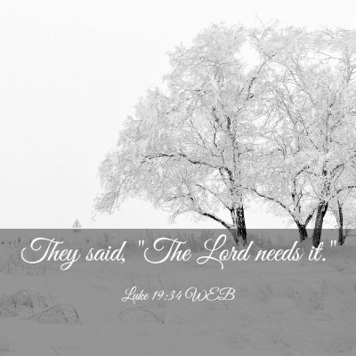 Picture 03 - Luke 19:34 WEB - They said, 