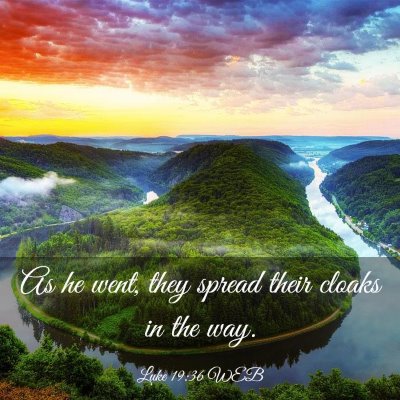 Picture 03 - Luke 19:36 WEB - As he went, they spread their cloaks in the - Bible Verse Picture