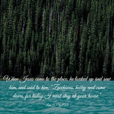 Picture 03 - Luke 19:5 WEB - When Jesus came to the place, he looked up and - Bible Verse Picture