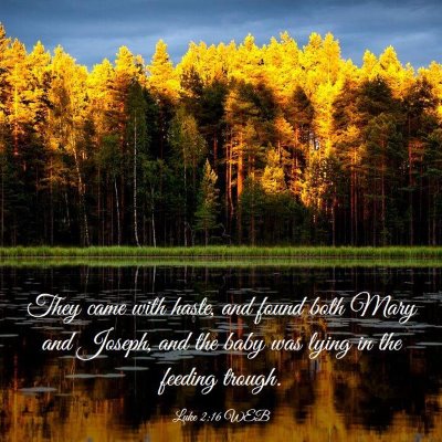 Picture 03 - Luke 2:16 WEB - They came with haste, and found both Mary and - Bible Verse Picture