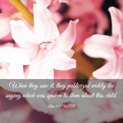 Picture 03 - Luke 2:17 WEB - When they saw it, they publicized widely the - Bible Verse Picture