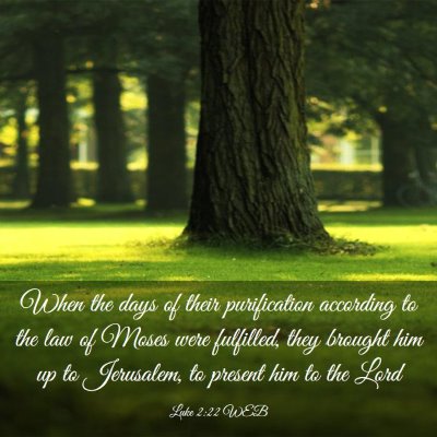 Picture 03 - Luke 2:22 WEB - When the days of their purification according to - Bible Verse Picture