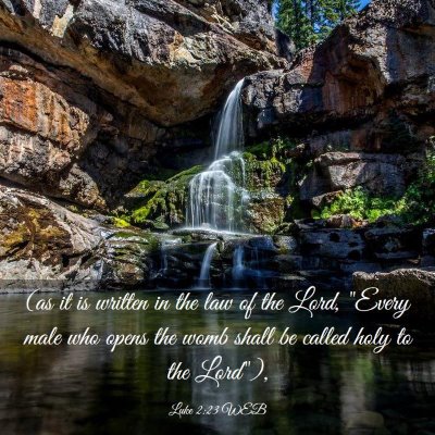 Picture 03 - Luke 2:23 WEB - (as it is written in the law of the Lord, 