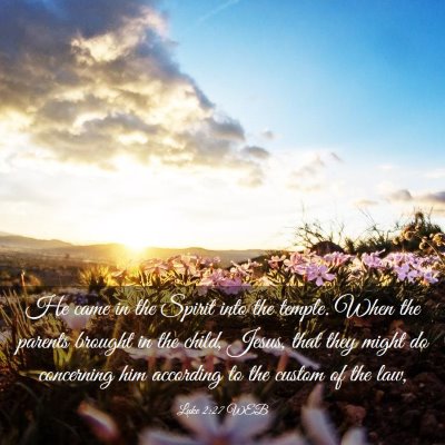 Picture 03 - Luke 2:27 WEB - He came in the Spirit into the temple. When the - Bible Verse Picture