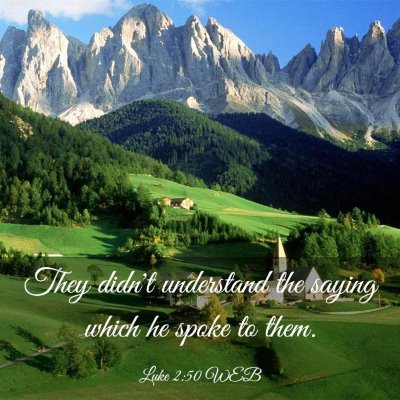 Picture 03 - Luke 2:50 WEB - They didn't understand the saying which he spoke - Bible Verse Picture
