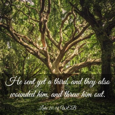 Picture 03 - Luke 20:12 WEB - He sent yet a third, and they also wounded him, - Bible Verse Picture