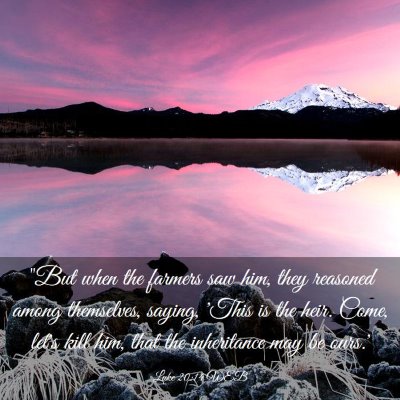 Picture 03 - Luke 20:14 WEB - 