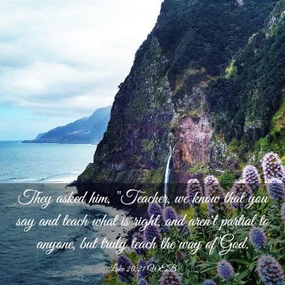Picture 03 - Luke 20:21 WEB - They asked him, 