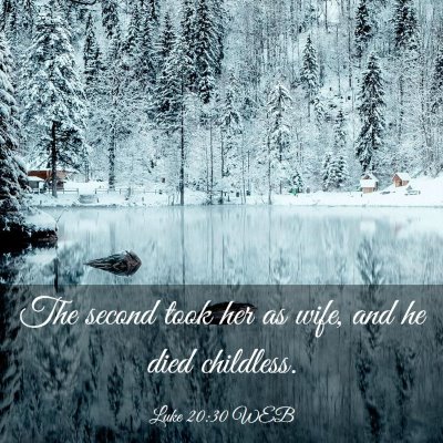 Picture 03 - Luke 20:30 WEB - The second took her as wife, and he died - Bible Verse Picture