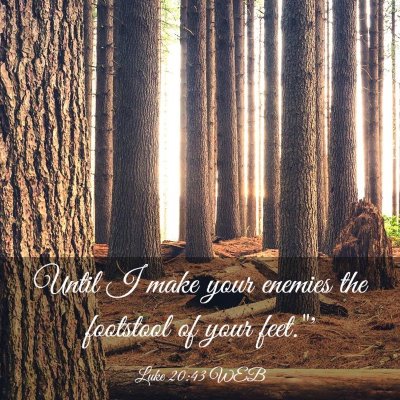 Picture 03 - Luke 20:43 WEB - Until I make your enemies the footstool of your - Bible Verse Picture