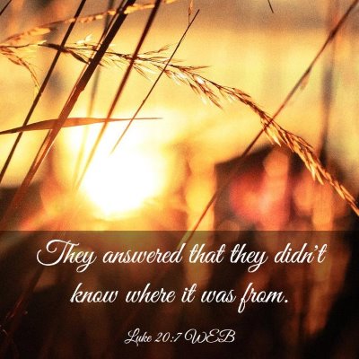 Picture 03 - Luke 20:7 WEB - They answered that they didn't know where it was - Bible Verse Picture