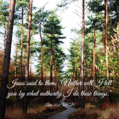 Picture 03 - Luke 20:8 WEB - Jesus said to them, 