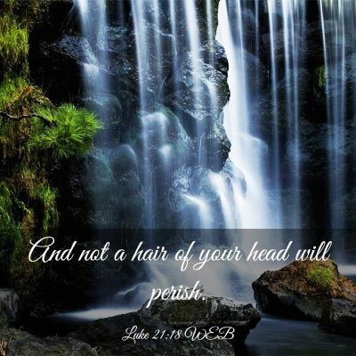 Picture 03 - Luke 21:18 WEB - And not a hair of your head will - Bible Verse Picture