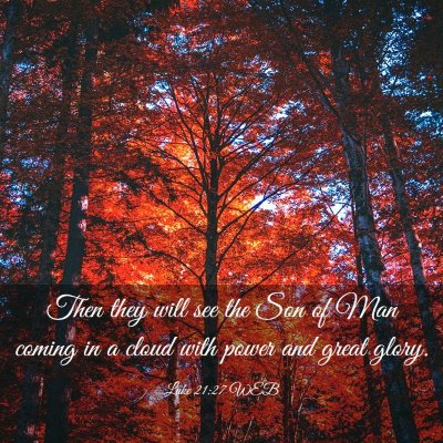 Picture 03 - Luke 21:27 WEB - Then they will see the Son of Man coming in a - Bible Verse Picture