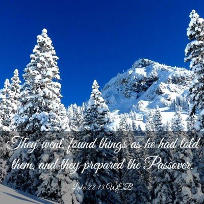 Picture 03 - Luke 22:13 WEB - They went, found things as he had told them, and - Bible Verse Picture