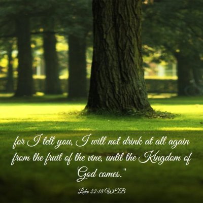 Picture 03 - Luke 22:18 WEB - for I tell you, I will not drink at all again - Bible Verse Picture
