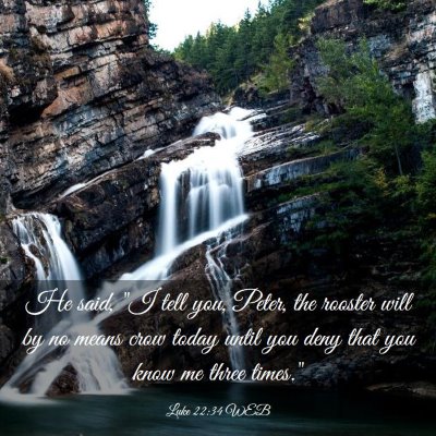 Picture 03 - Luke 22:34 WEB - He said, 