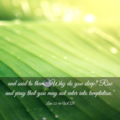 Picture 03 - Luke 22:46 WEB - and said to them, 
