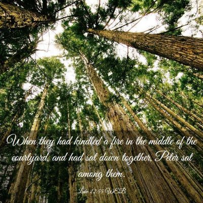 Picture 03 - Luke 22:55 WEB - When they had kindled a fire in the middle of the - Bible Verse Picture
