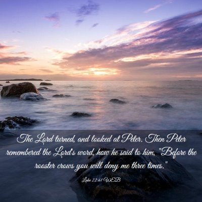 Picture 03 - Luke 22:61 WEB - The Lord turned, and looked at Peter. Then Peter - Bible Verse Picture