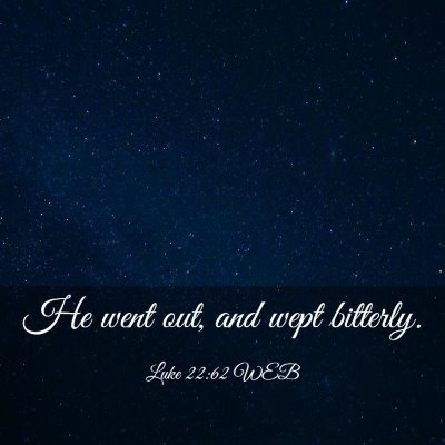 Picture 03 - Luke 22:62 WEB - He went out, and wept - Bible Verse Picture