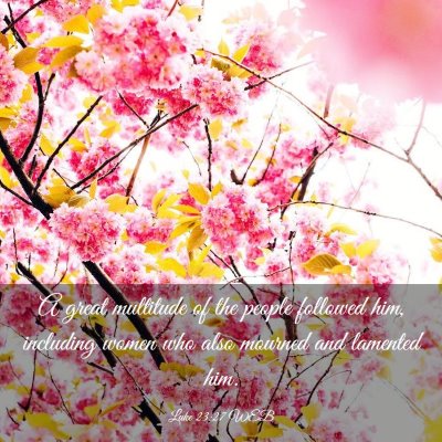 Picture 03 - Luke 23:27 WEB - A great multitude of the people followed him, - Bible Verse Picture