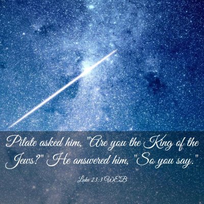 Picture 03 - Luke 23:3 WEB - Pilate asked him, 