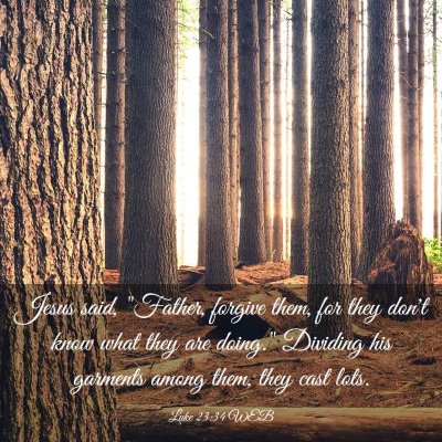 Picture 03 - Luke 23:34 WEB - Jesus said, 