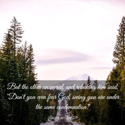 Picture 03 - Luke 23:40 WEB - But the other answered, and rebuking him said, - Bible Verse Picture