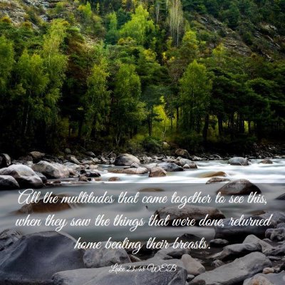 Picture 03 - Luke 23:48 WEB - All the multitudes that came together to see - Bible Verse Picture