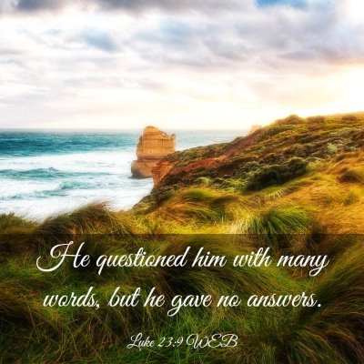 Picture 03 - Luke 23:9 WEB - He questioned him with many words, but he gave no - Bible Verse Picture