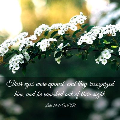 Picture 03 - Luke 24:31 WEB - Their eyes were opened, and they recognized him, - Bible Verse Picture