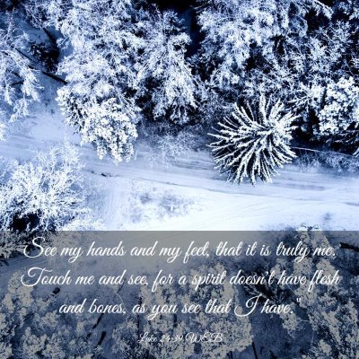 Picture 03 - Luke 24:39 WEB - See my hands and my feet, that it is truly me. - Bible Verse Picture