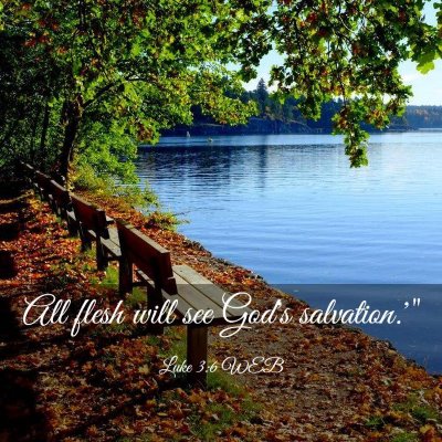 Picture 03 - Luke 3:6 WEB - All flesh will see God's - Bible Verse Picture