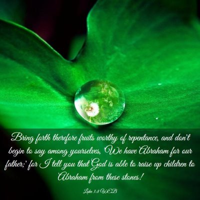 Picture 03 - Luke 3:8 WEB - Bring forth therefore fruits worthy of - Bible Verse Picture