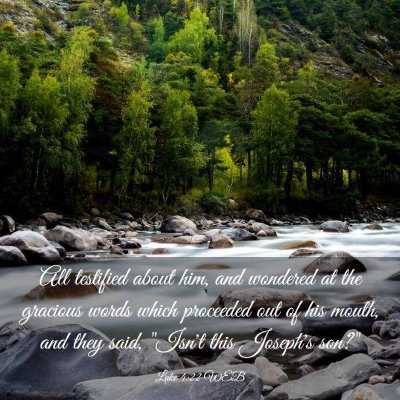 Picture 03 - Luke 4:22 WEB - All testified about him, and wondered at the - Bible Verse Picture
