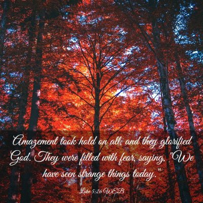 Picture 03 - Luke 5:26 WEB - Amazement took hold on all, and they glorified - Bible Verse Picture